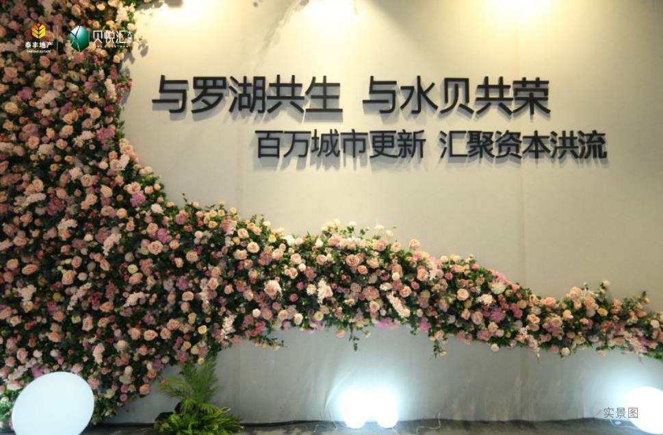 12.11-1-13.jpg 12.11-1-13.jpg